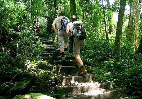 Hiking at cuc phuong national park- Hanoi local tours