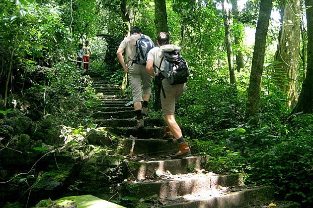 Hiking at cuc phuong national park- Hanoi local tours