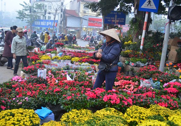 Hoang Hoa Tham Flower Market Hanoi local tour packages