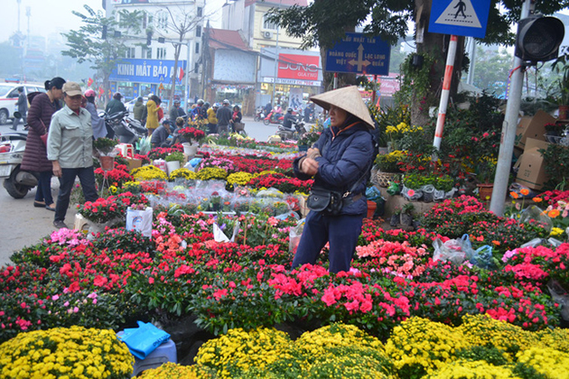 Hoang Hoa Tham Flower Market Hanoi local tour packages