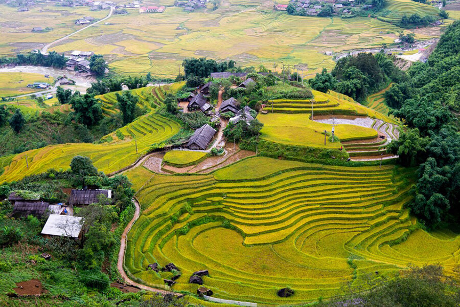 Introduction to the terraced fields in Sapa1