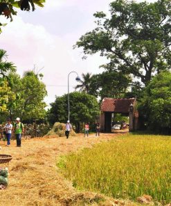 Ky Son Village Tour - Hanoi Day Trips