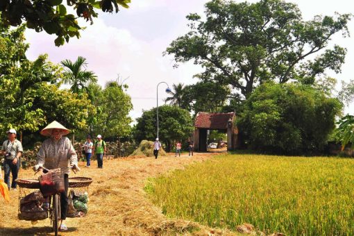 Ky Son Village Tour - Hanoi Day Trips