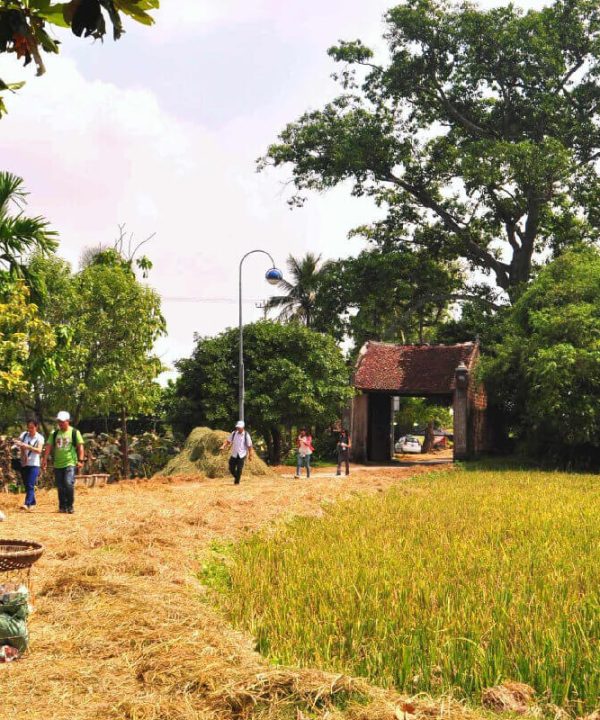 Ky Son Village Tour - Hanoi Day Trips
