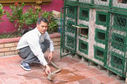 Le Mat Snake Village