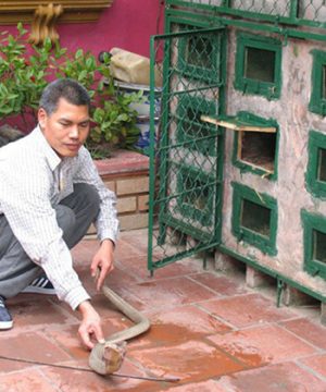 Le Mat Snake Village Hanoi tour packages