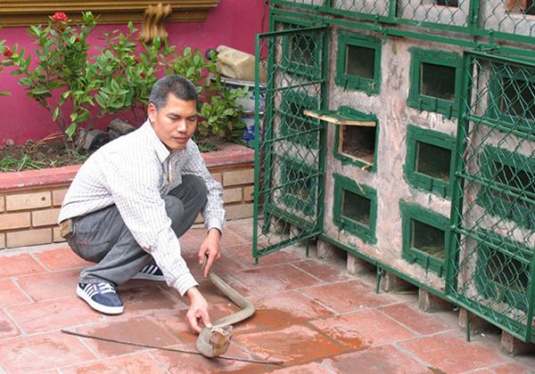 Le Mat Snake Village Hanoi tour packages