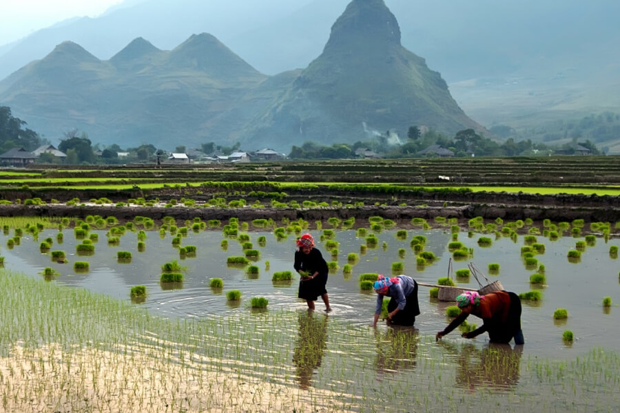 Mai Hich village - Hanoi Tour