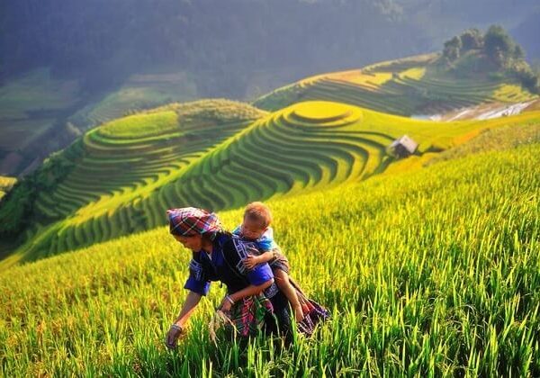 Mu Cang Chai - Hanoi Local Tours