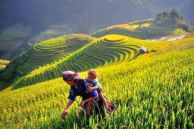 Mu Cang Chai - Hanoi Local Tours