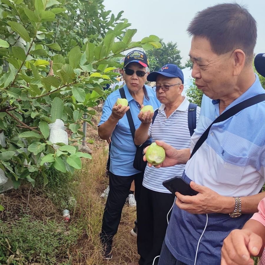 Market & Farm Visit with Local Host - Hanoi Farm Tour