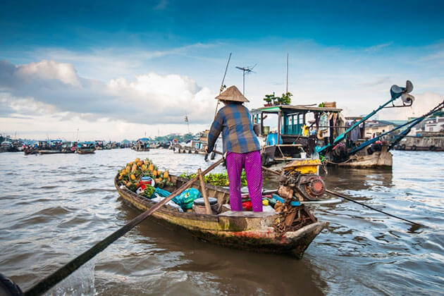 Mekong Delta Tours - Hanoi Local Tours