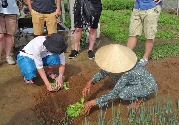 Moon Garden Homestay Duong Lam Hanoi local tour