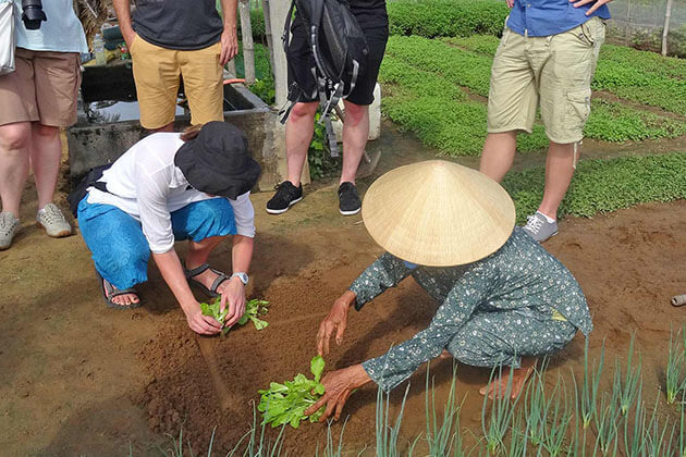 Moon Garden Homestay Duong Lam Hanoi local tour