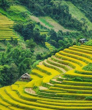 Mu Cang Chai Hanoi Sapa Tour