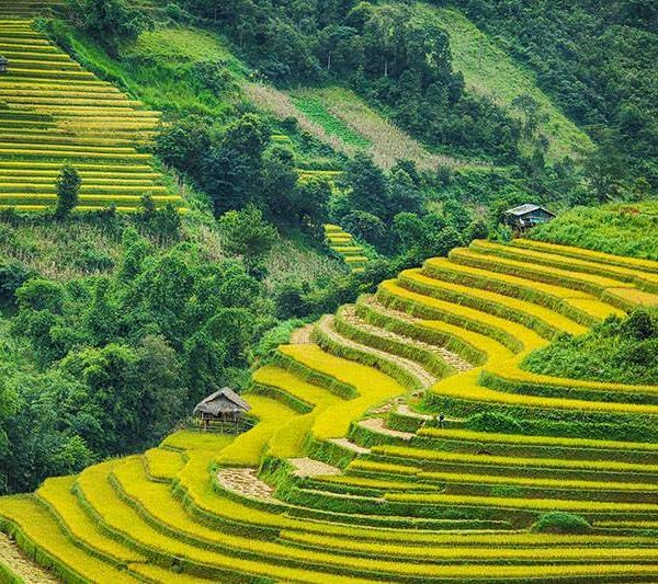 Mu Cang Chai Hanoi Sapa Tour