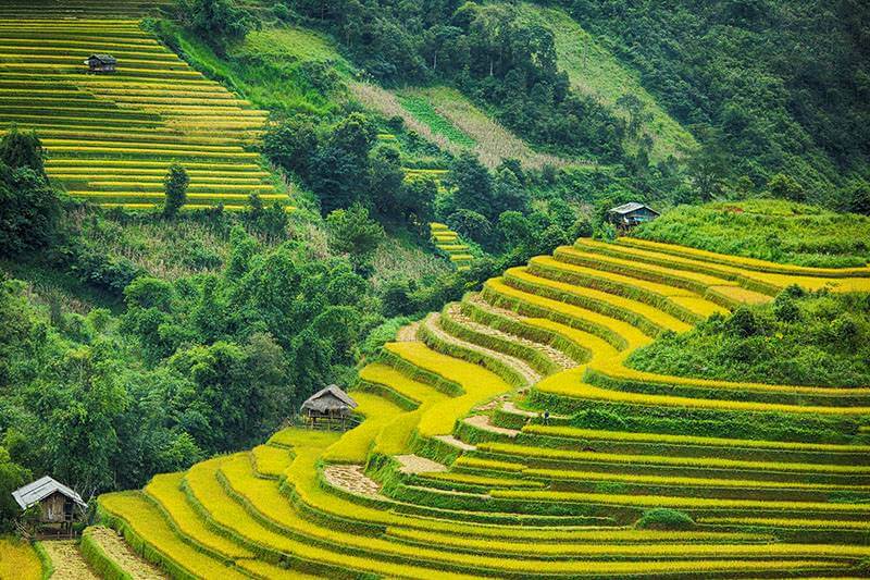 Mu Cang Chai Hanoi Sapa Tour