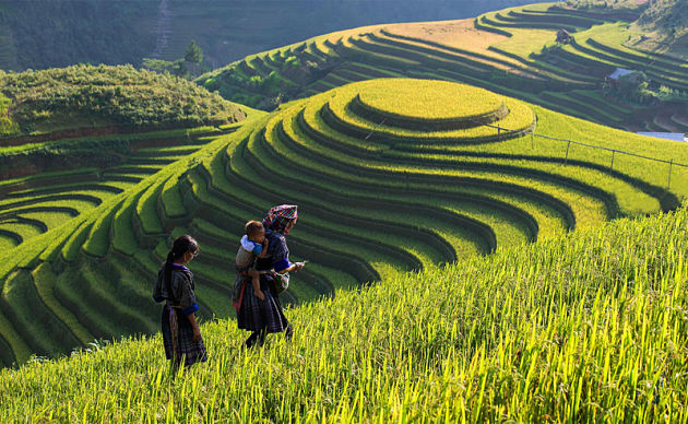 Mu Cang Chai - Hanoi local tours