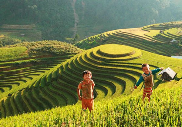 Muong Hoa Valley Sapa - Hanoi Local Tour Packages