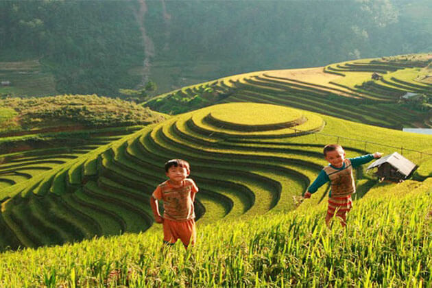 Muong Hoa Valley Sapa Tours