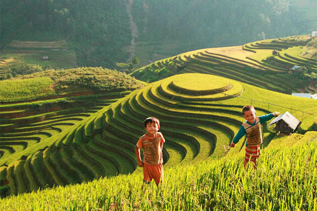 Muong Hoa Valley Sapa - Hanoi Local Tour Packages
