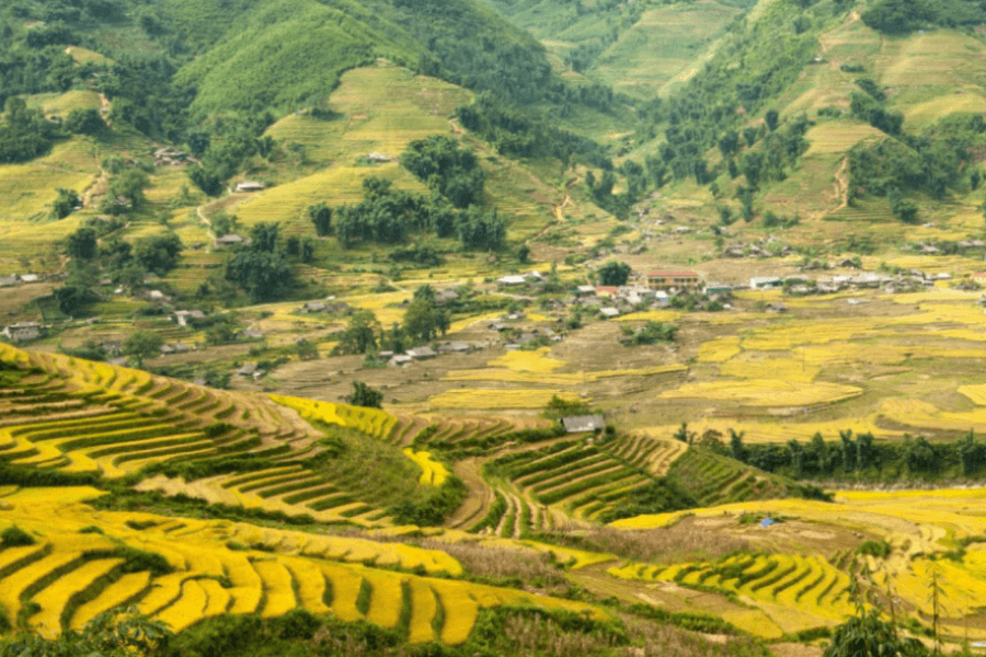 Muong Hoa Valley attracting foreigner visitors in Hanoi Sapa tours