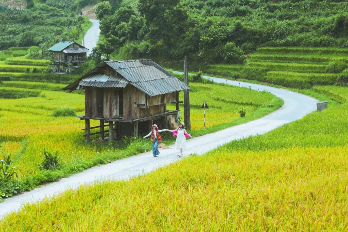Nam Cang Village Sapa - An Authentic Escape into Northern Vietnam