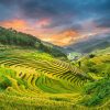 Northwest of Vietnam Adventure Tour