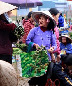 visit Nua Market in Hanoi Local Tour