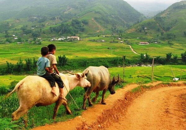 Peaceful Ta Van Village - Hanoi tour packages