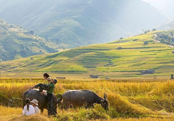 Peaceful tu Le Mu Cang Chai