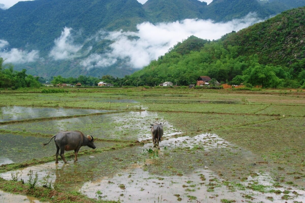 Pom Coong Village and Rural Life