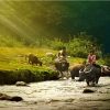 Pu Luong Mai Chau Trekking Tour