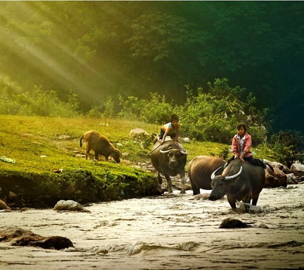 Pu Luong Mai Chau Trekking Tour