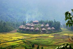 Pu Luong Trekking Tour
