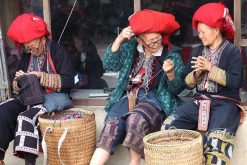 Red Dzao People