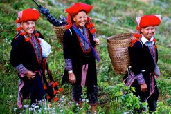 Red Dzao People Living in Sapa