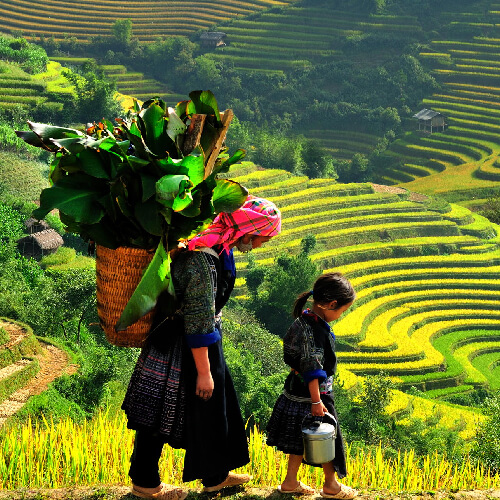 Sa Pa - north vietnam tours