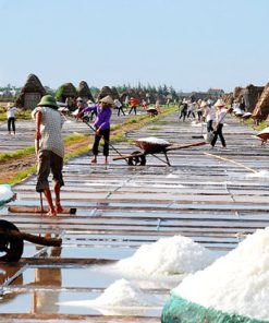 Salt Village in Giao Thuy Hanoi tour operators