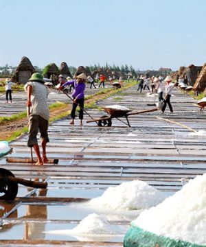 Salt Village in Giao Thuy Hanoi tour operators