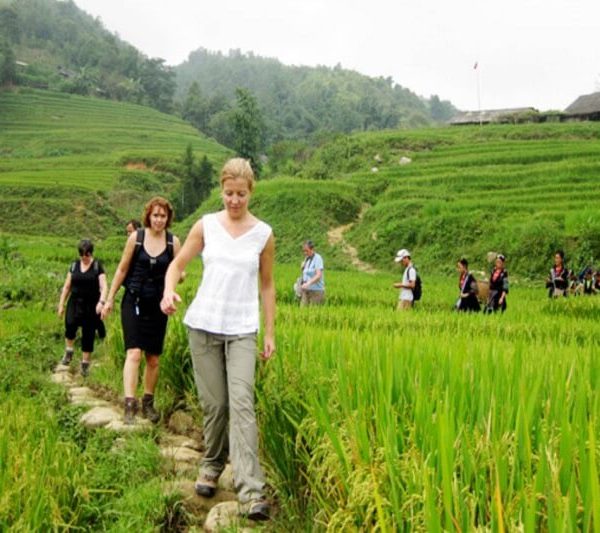 Sapa Tour from Hanoi