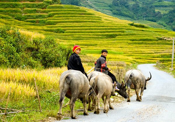 Ta Van Village - Hanoi Tour Packages