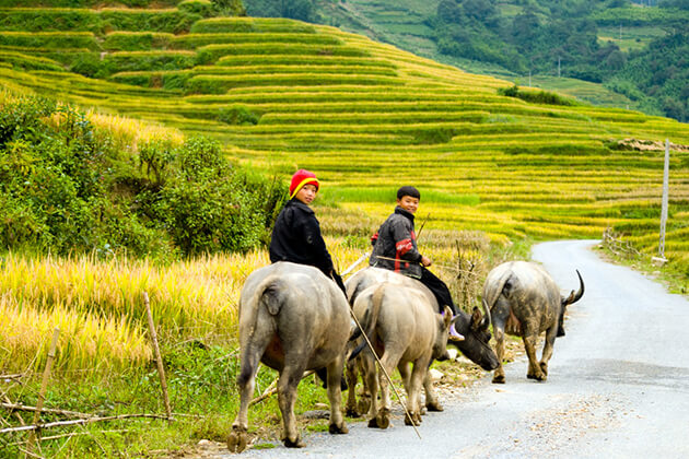 Ta Van Village - Hanoi Tour Packages