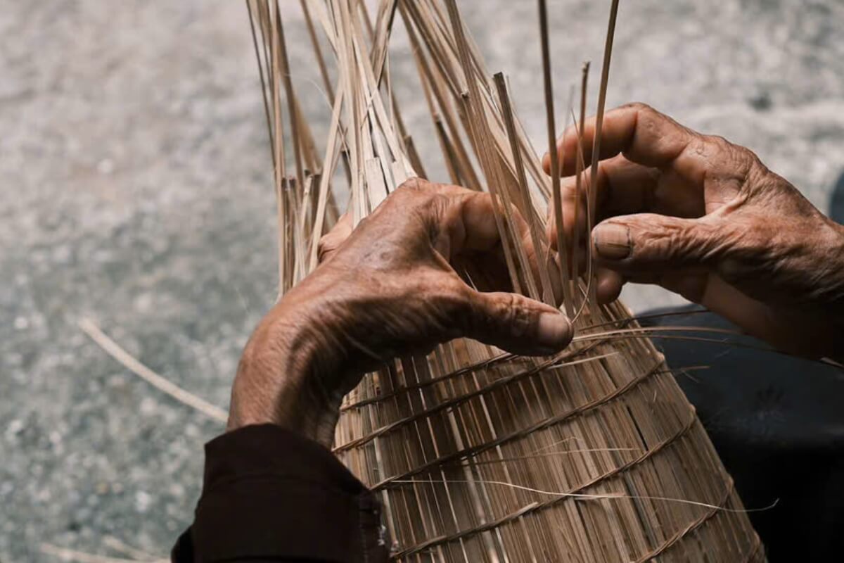 The Story Of the Thu Sy Bamboo Fish Trap Village