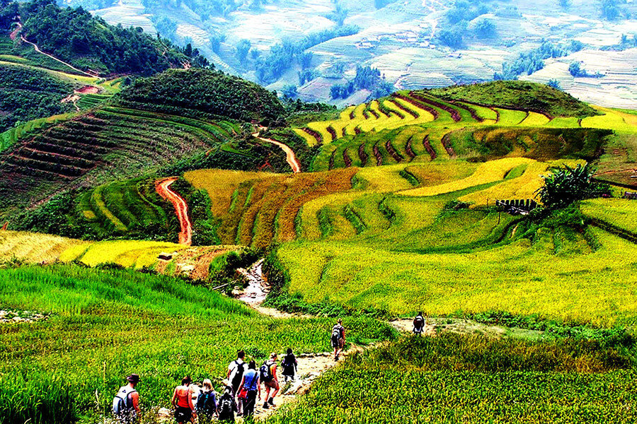 The most beautiful routes for admiring Sapa's terraced fields1