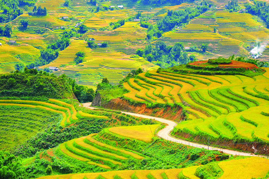 The most beautiful routes for admiring Sapa's terraced fields3