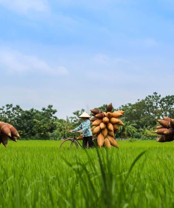 Thu Sy Fish Trap Village - Hanoi Group Tours