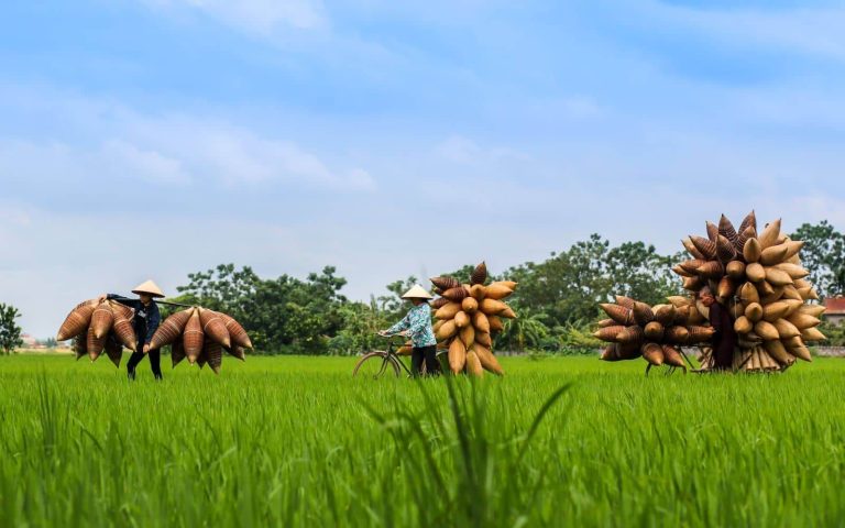 Thu Sy Fish Trap Village - Hanoi Group Tours