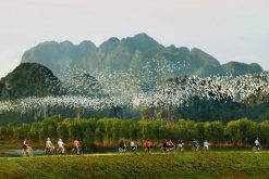 Thung Nham Bird Garden