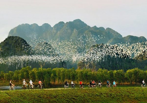 Thung Nham Bird Garden